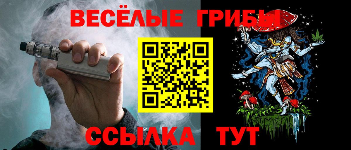 Галлюциногенные грибы Magic Shrooms  Вход с VPN  Зерноград  Псилоцибиновые грибы GOLDEN TEACHER 